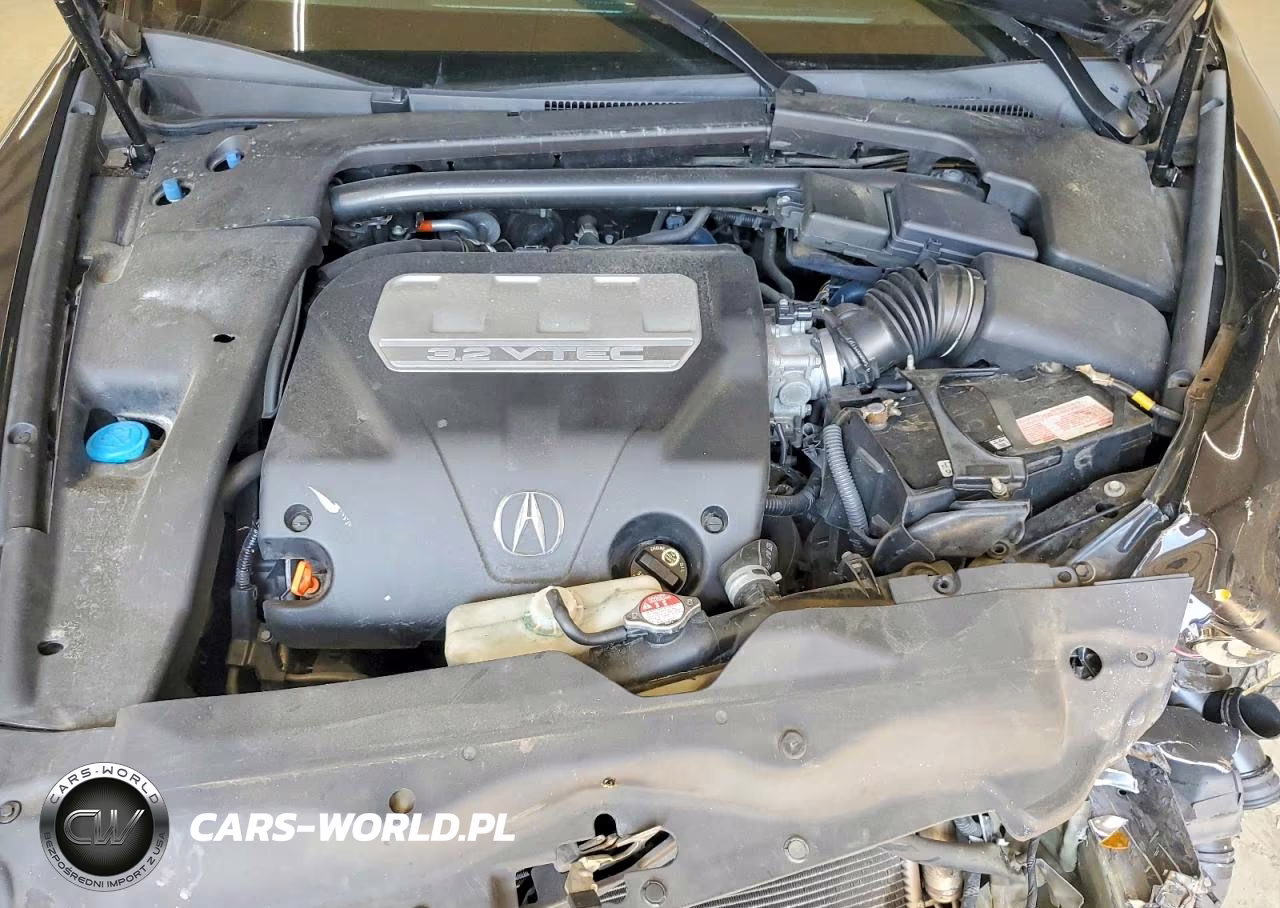 2007 Acura Tl VIN:19UUA66237A022879 - 11