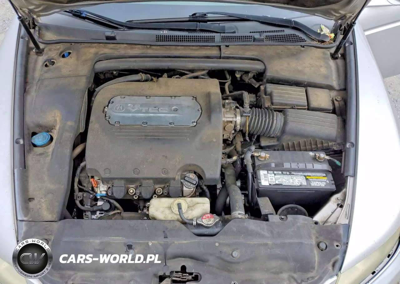2006 Acura 3.2Tl VIN:19UUA662X6A053447 - 11