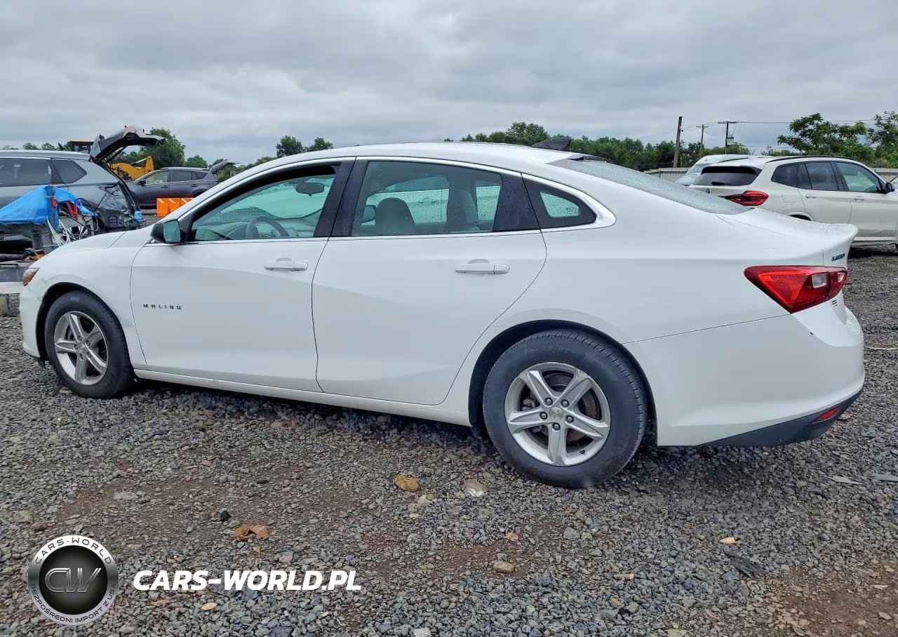 2019 Chevrolet Malibu Ls VIN:1G1ZC5ST7KF170609 - 2