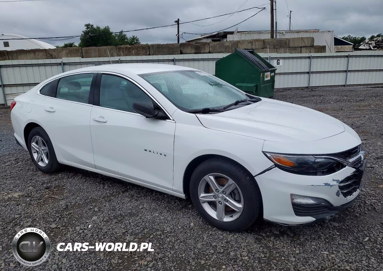 2019 Chevrolet Malibu Ls VIN:1G1ZC5ST7KF170609 - 4