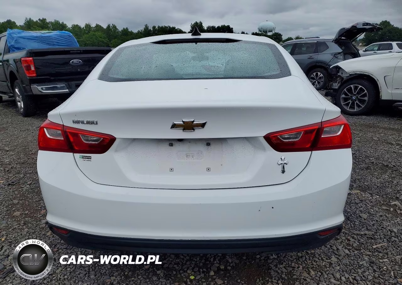 2019 Chevrolet Malibu Ls VIN:1G1ZC5ST7KF170609 - 6
