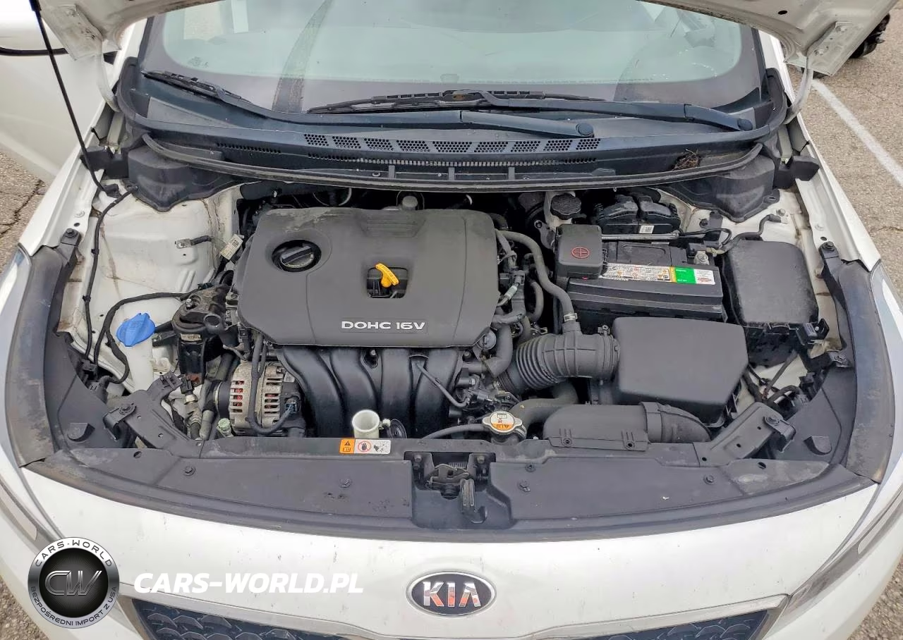 2017 Kia Forte Lx VIN:3KPFL4A76HE121848 - 11
