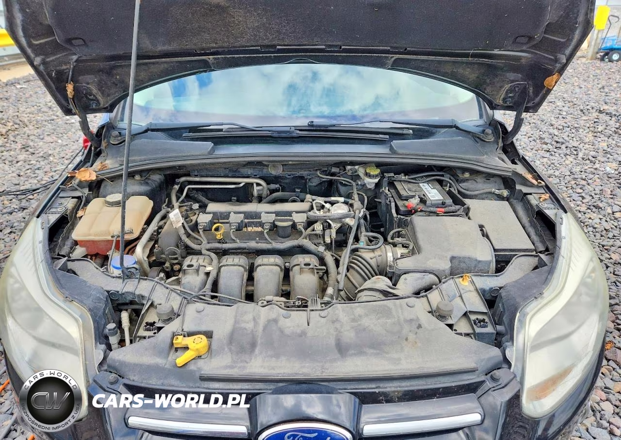 2012 Ford Focus Sel VIN:1FAHP3M25CL168351 - 11