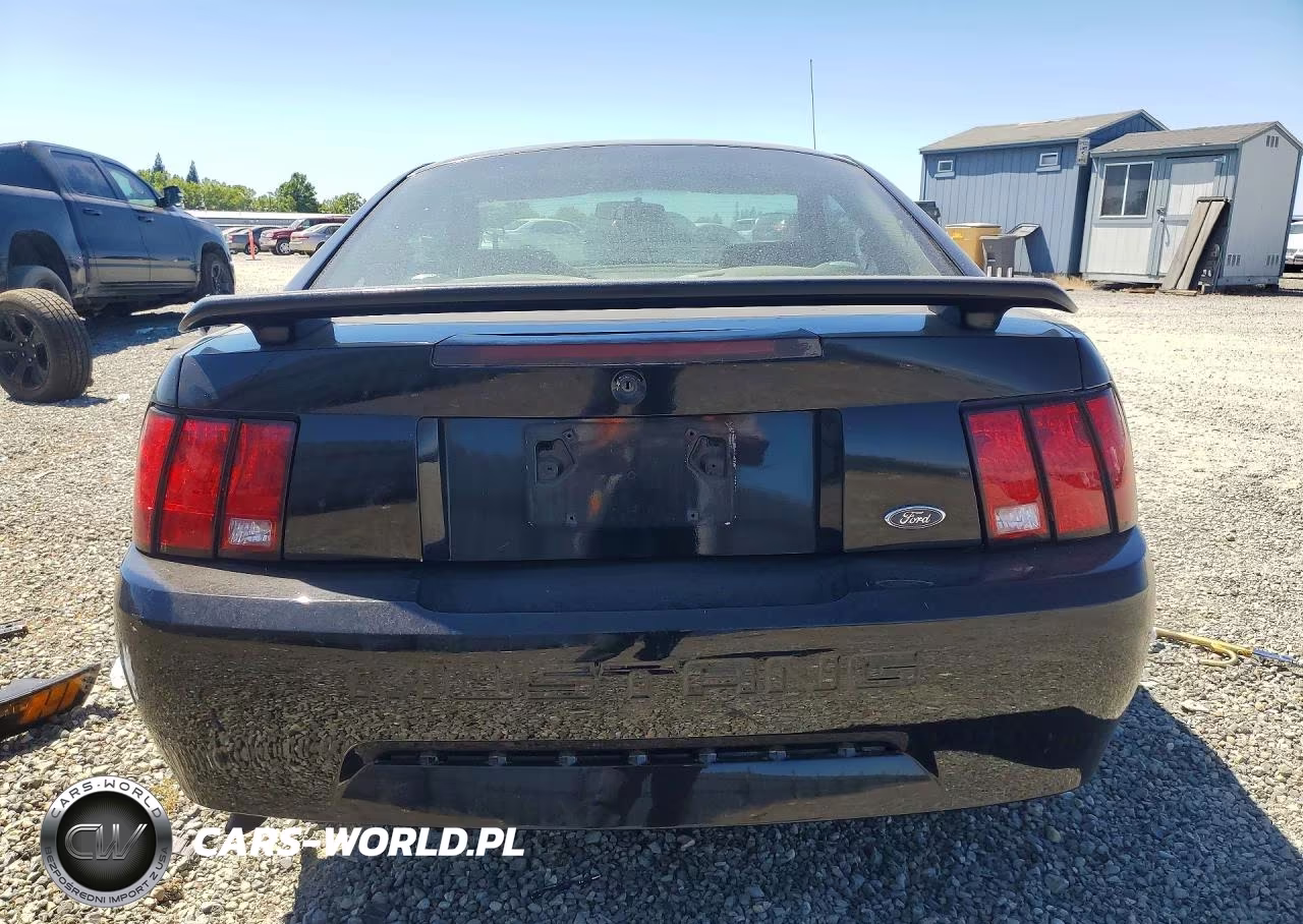 2003 Ford Mustang VIN:1FAFP40473F393647 - 6