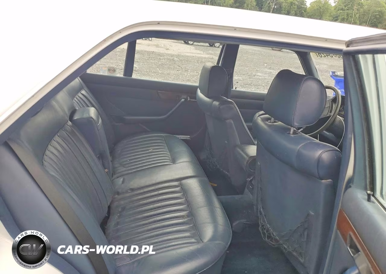 1987 Mercedes-Benz 420 Sel VIN:WDBCA35D3HA326239 - 10