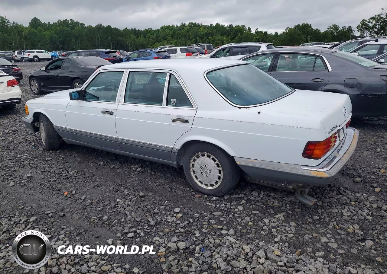 1987 Mercedes-Benz 420 Sel VIN:WDBCA35D3HA326239 - 2