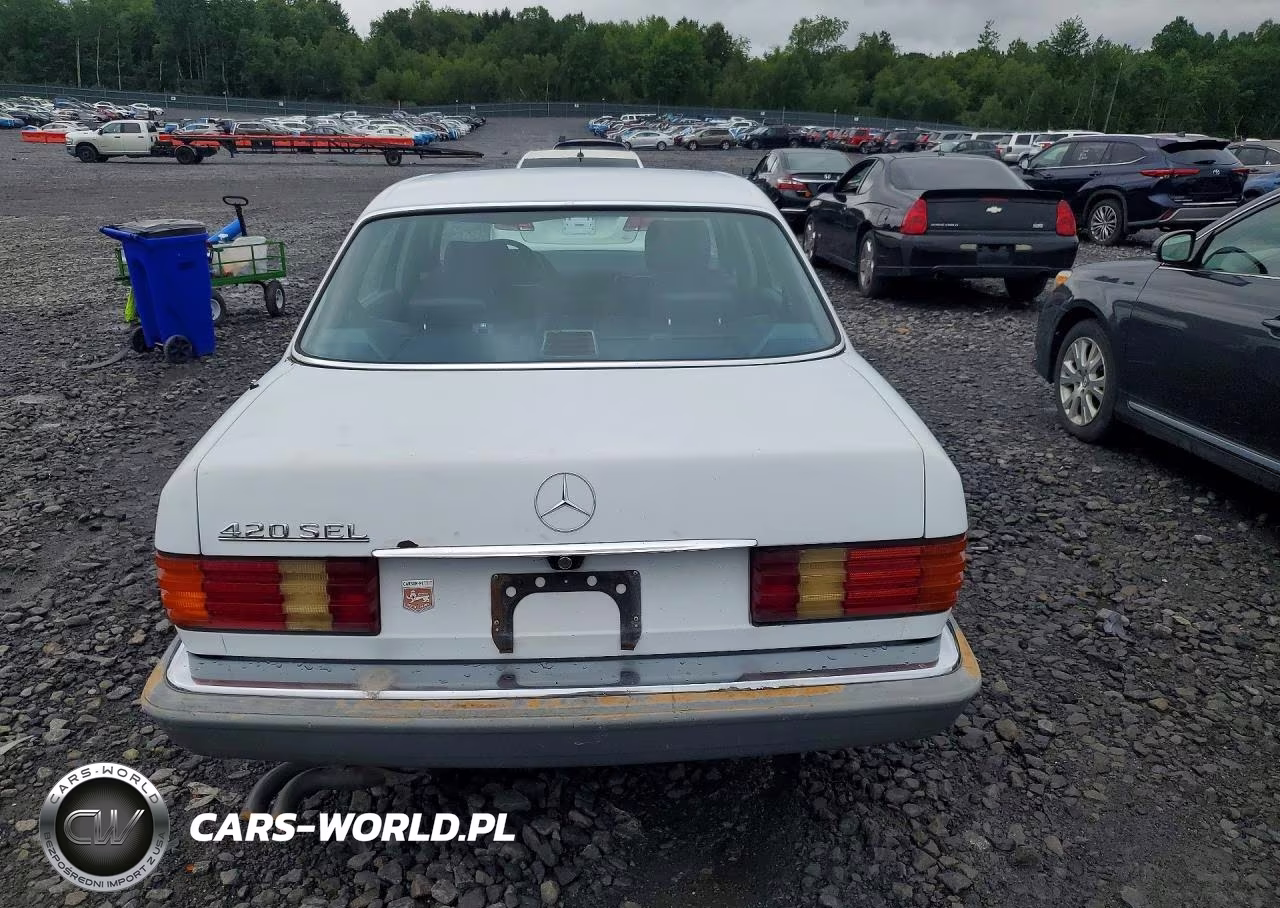 1987 Mercedes-Benz 420 Sel VIN:WDBCA35D3HA326239 - 6