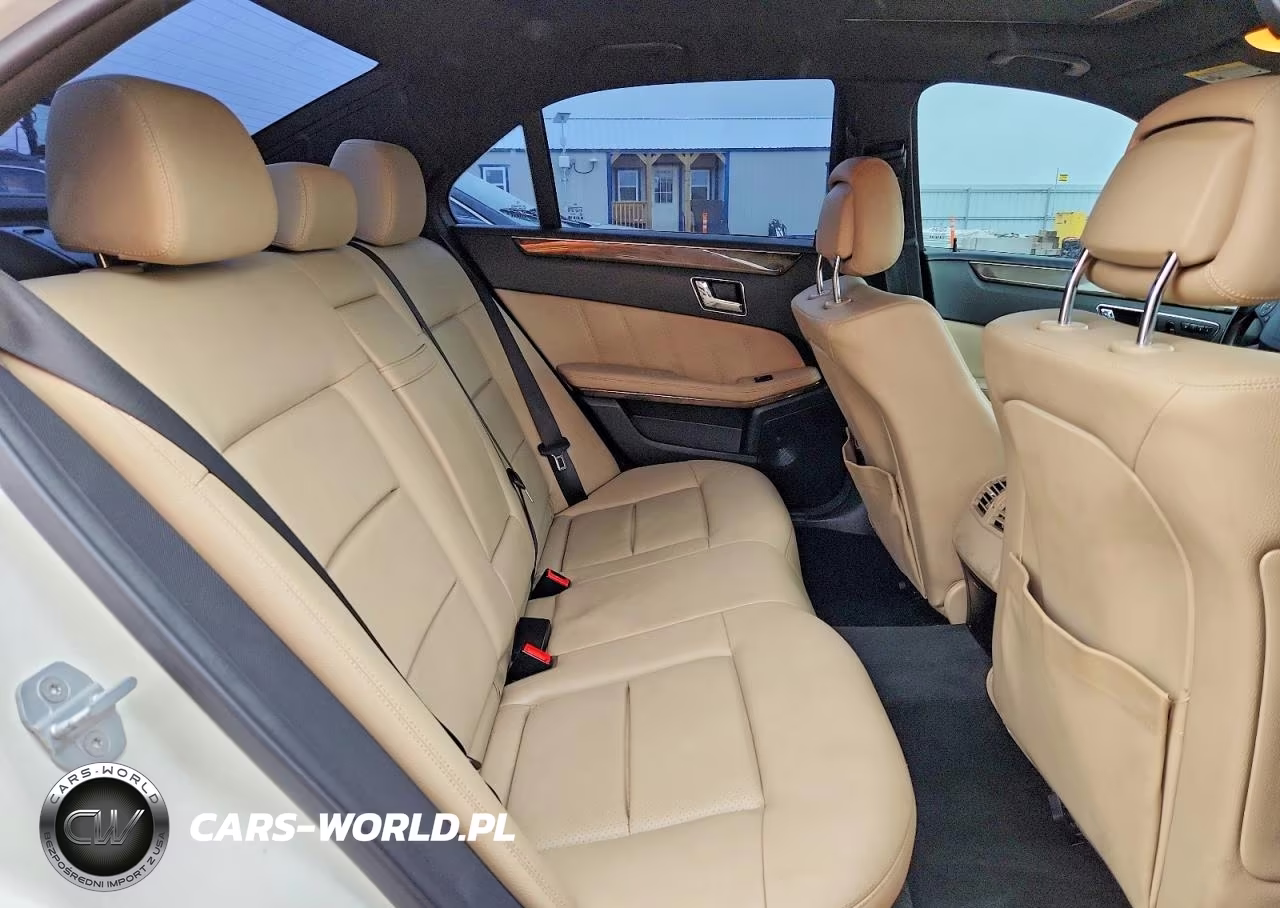 2010 Mercedes-Benz E 350 4Matic VIN:WDDHF8HB7AA169911 - 10