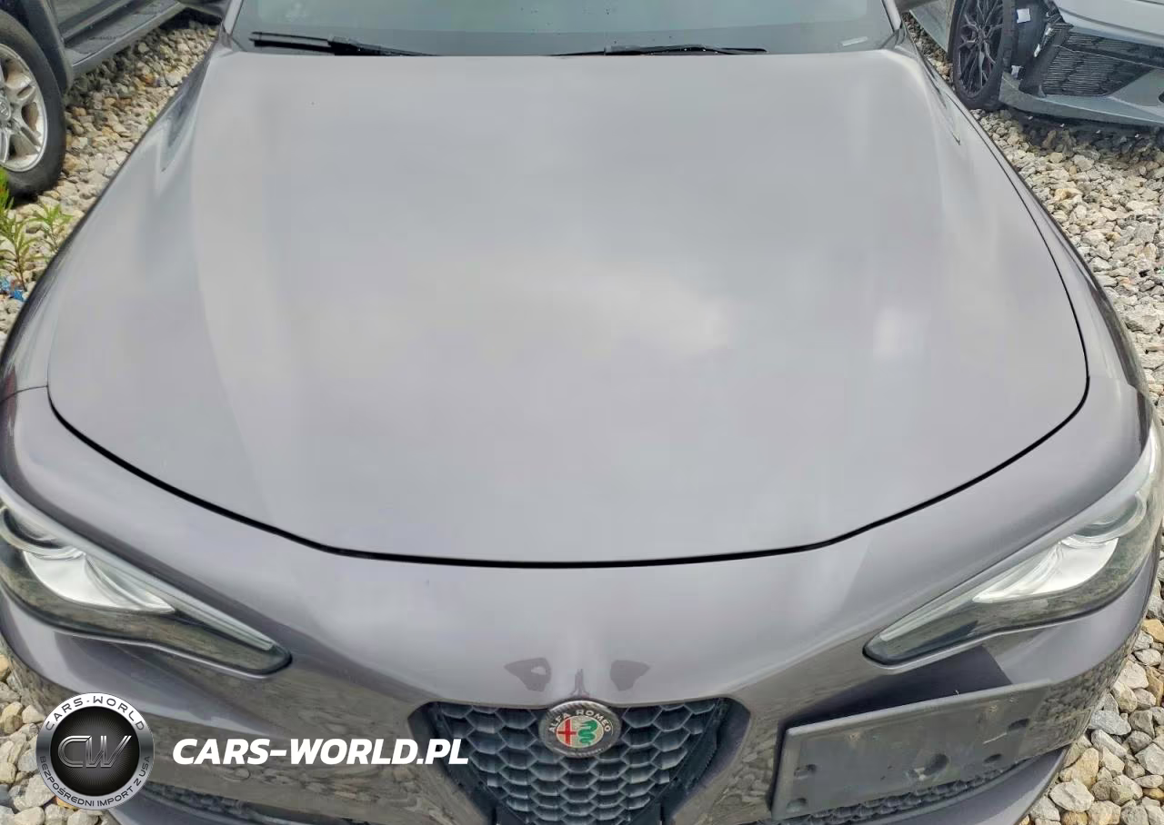 2017 Alfa Romeo Giulia Q4 VIN:ZARFAEDN4H7553981 - 11