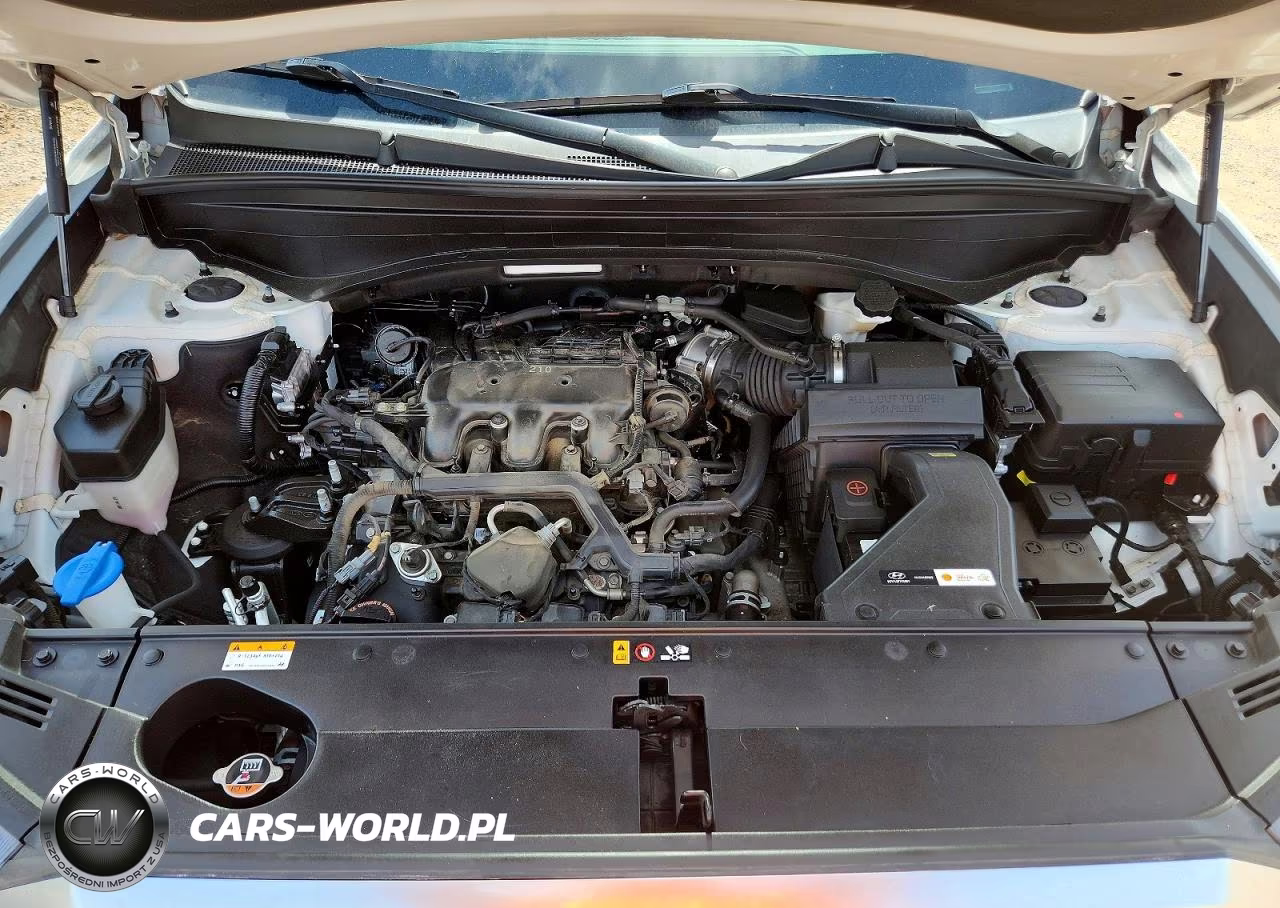 2021 Hyundai Palisade Sel VIN:KM8R4DHE7MU281713 - 12