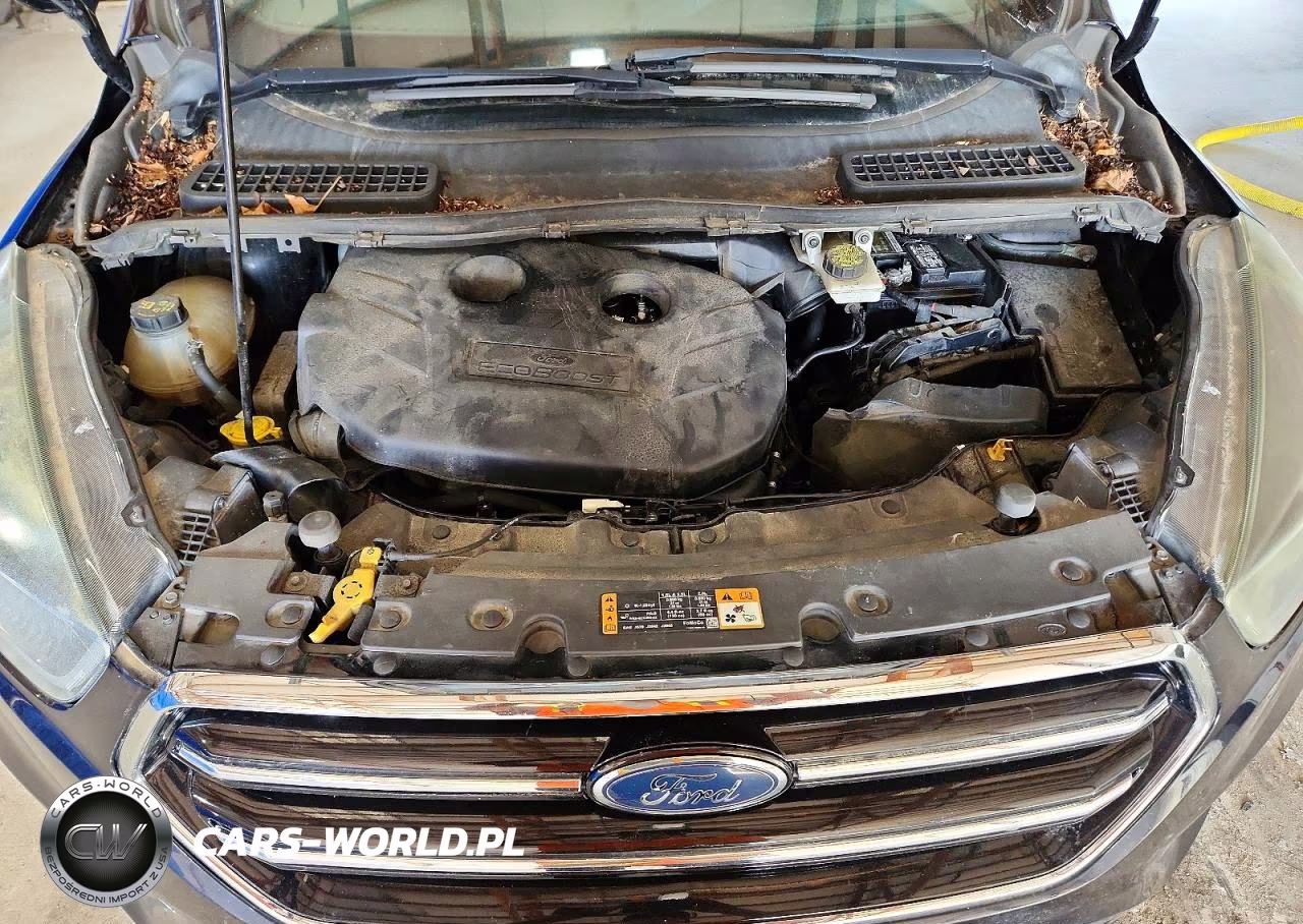 2017 Ford Escape Se VIN:1FMCU0G9XHUE89786 - 12