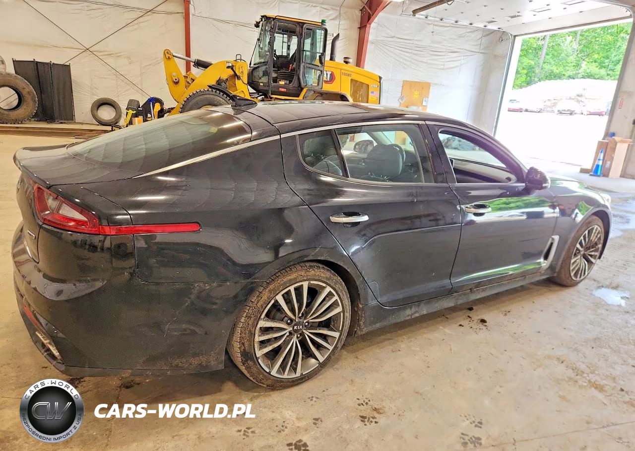 2018 Kia Stinger Premium VIN:KNAE25LA4J6017042 - 3