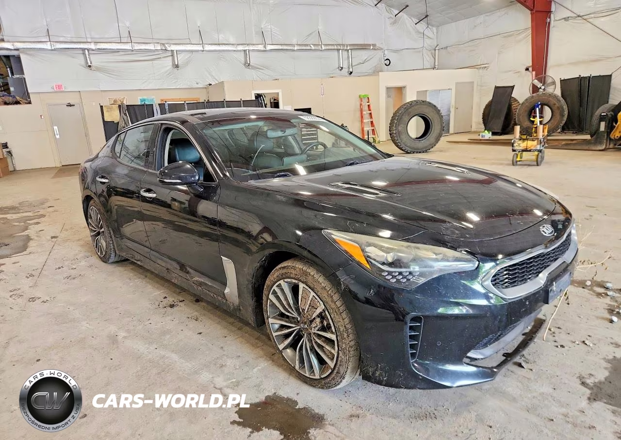 2018 Kia Stinger Premium VIN:KNAE25LA4J6017042 - 4
