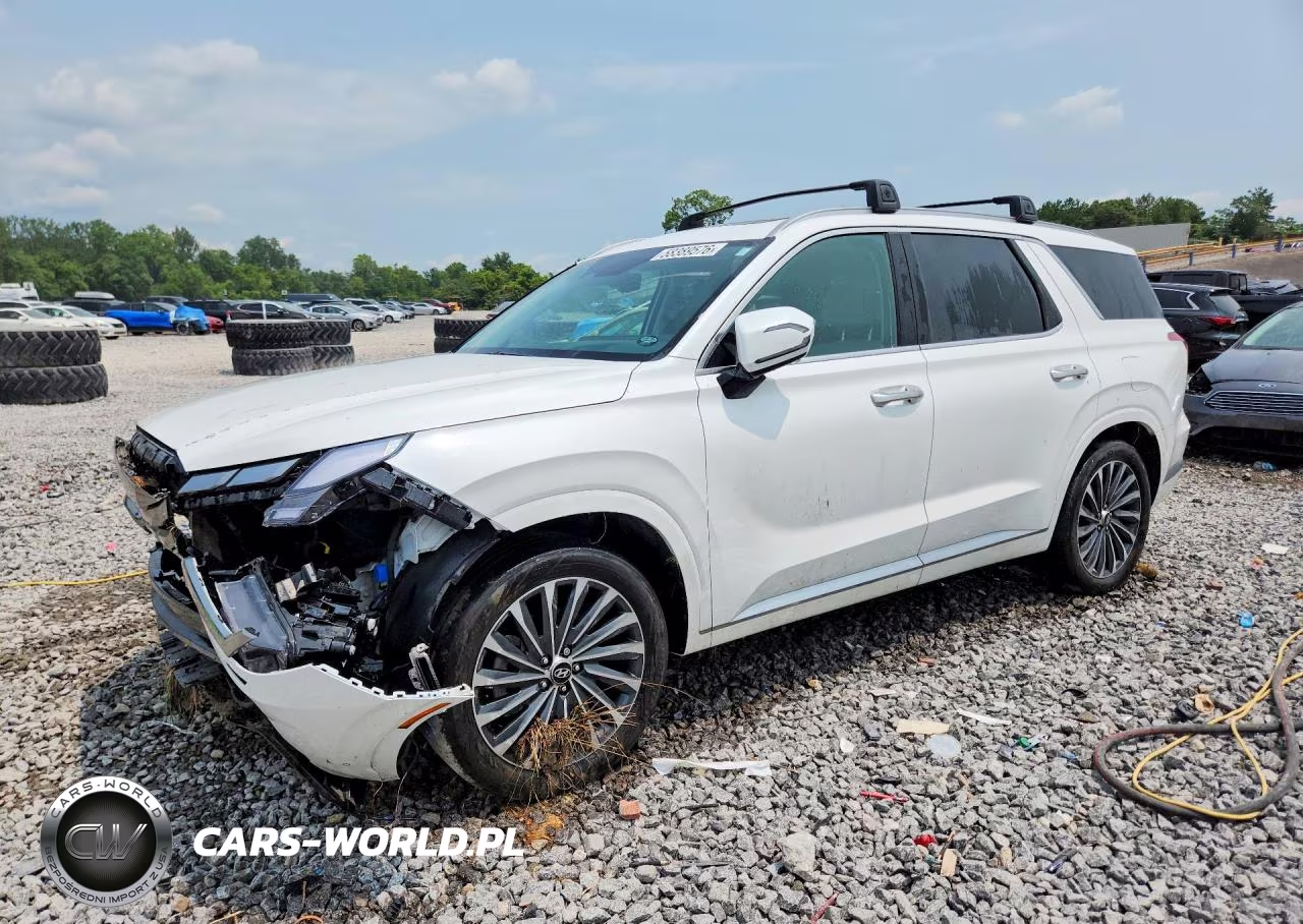 2024 Hyundai Palisade Calligraphy VIN:KM8R7DGEXRU722430 - 1