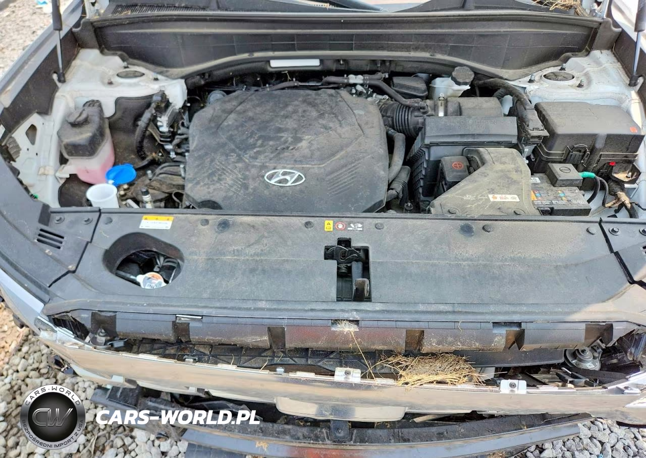 2024 Hyundai Palisade Calligraphy VIN:KM8R7DGEXRU722430 - 12