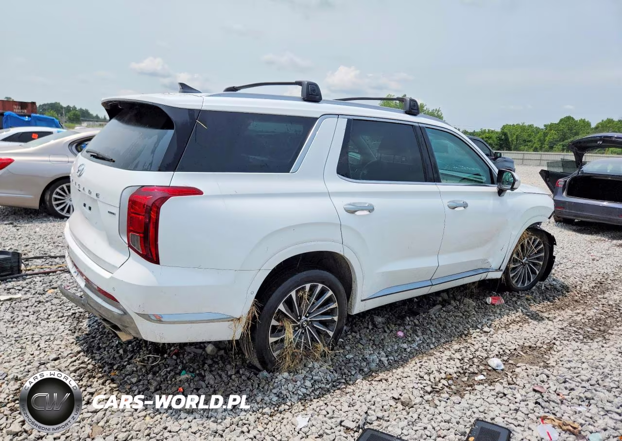 2024 Hyundai Palisade Calligraphy VIN:KM8R7DGEXRU722430 - 3