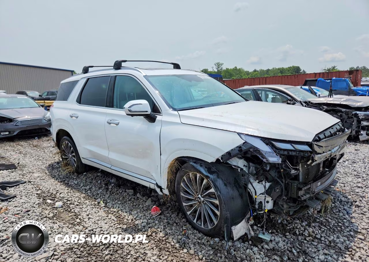 2024 Hyundai Palisade Calligraphy VIN:KM8R7DGEXRU722430 - 4