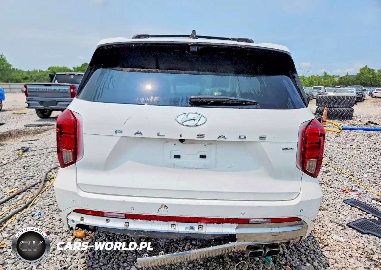 2024 Hyundai Palisade Calligraphy VIN:KM8R7DGEXRU722430 - 6