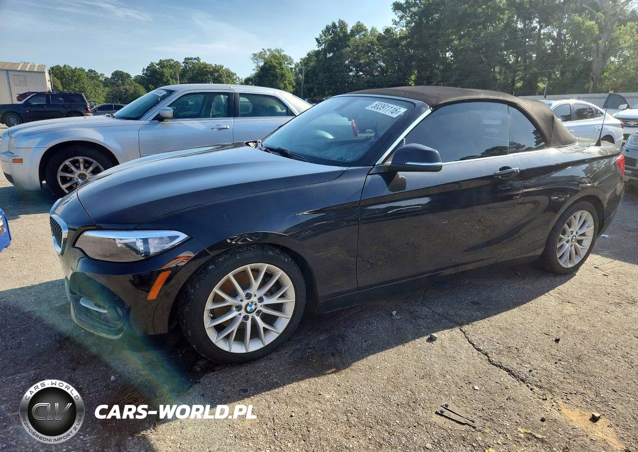 2016 BMW 228 I Sulev