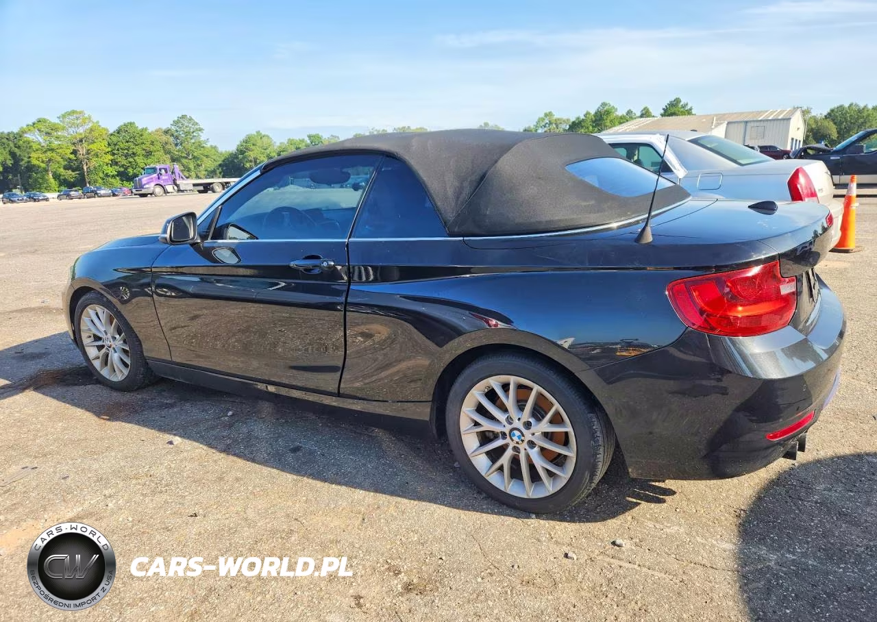 2016 BMW 228 I Sulev VIN:WBA1K9C59GV710714 - 2