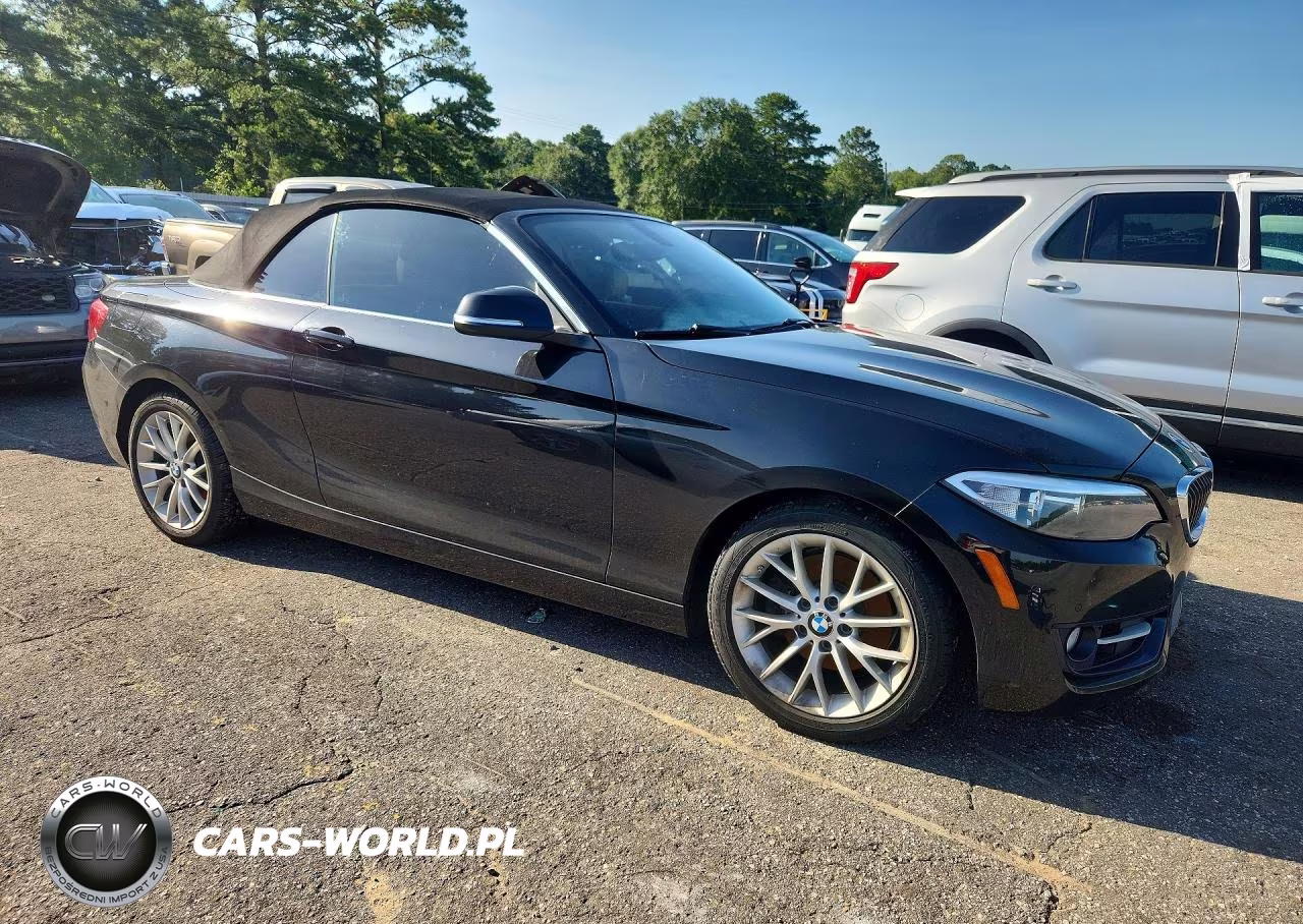 2016 BMW 228 I Sulev VIN:WBA1K9C59GV710714 - 4