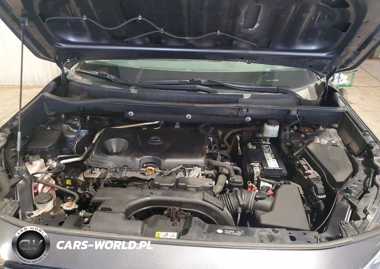 2019 Toyota Rav4 Xle VIN:2T3P1RFV7KW082195 - 12