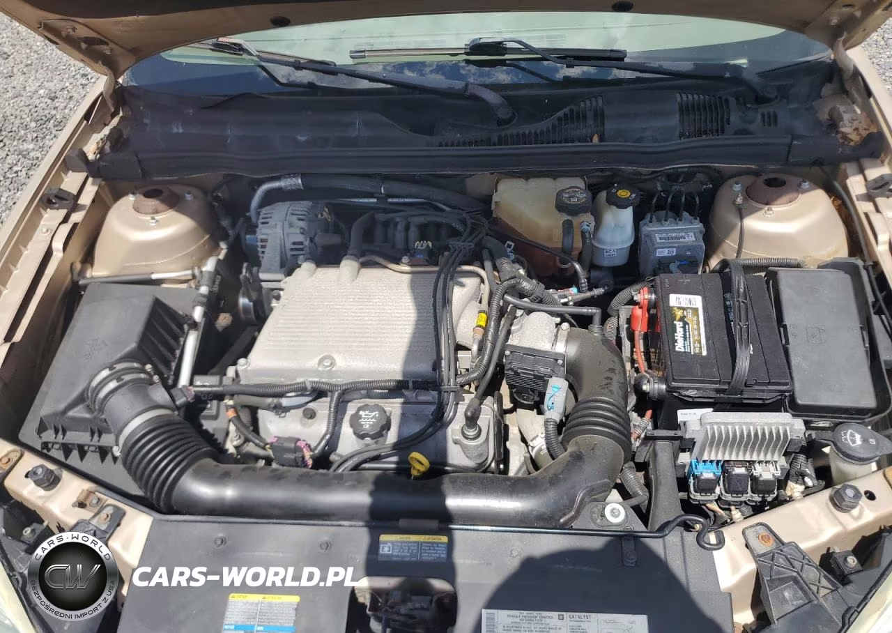 2004 Chevrolet Malibu Ls VIN:1G1ZT54874F110843 - 11
