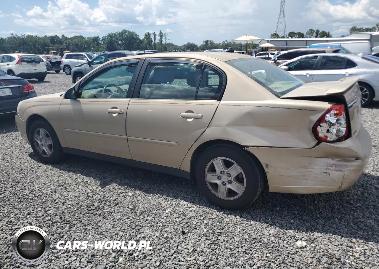 2004 Chevrolet Malibu Ls VIN:1G1ZT54874F110843 - 2