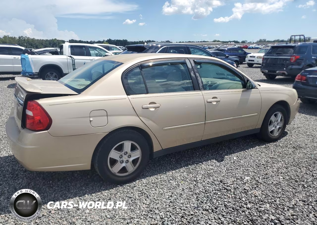 2004 Chevrolet Malibu Ls VIN:1G1ZT54874F110843 - 3