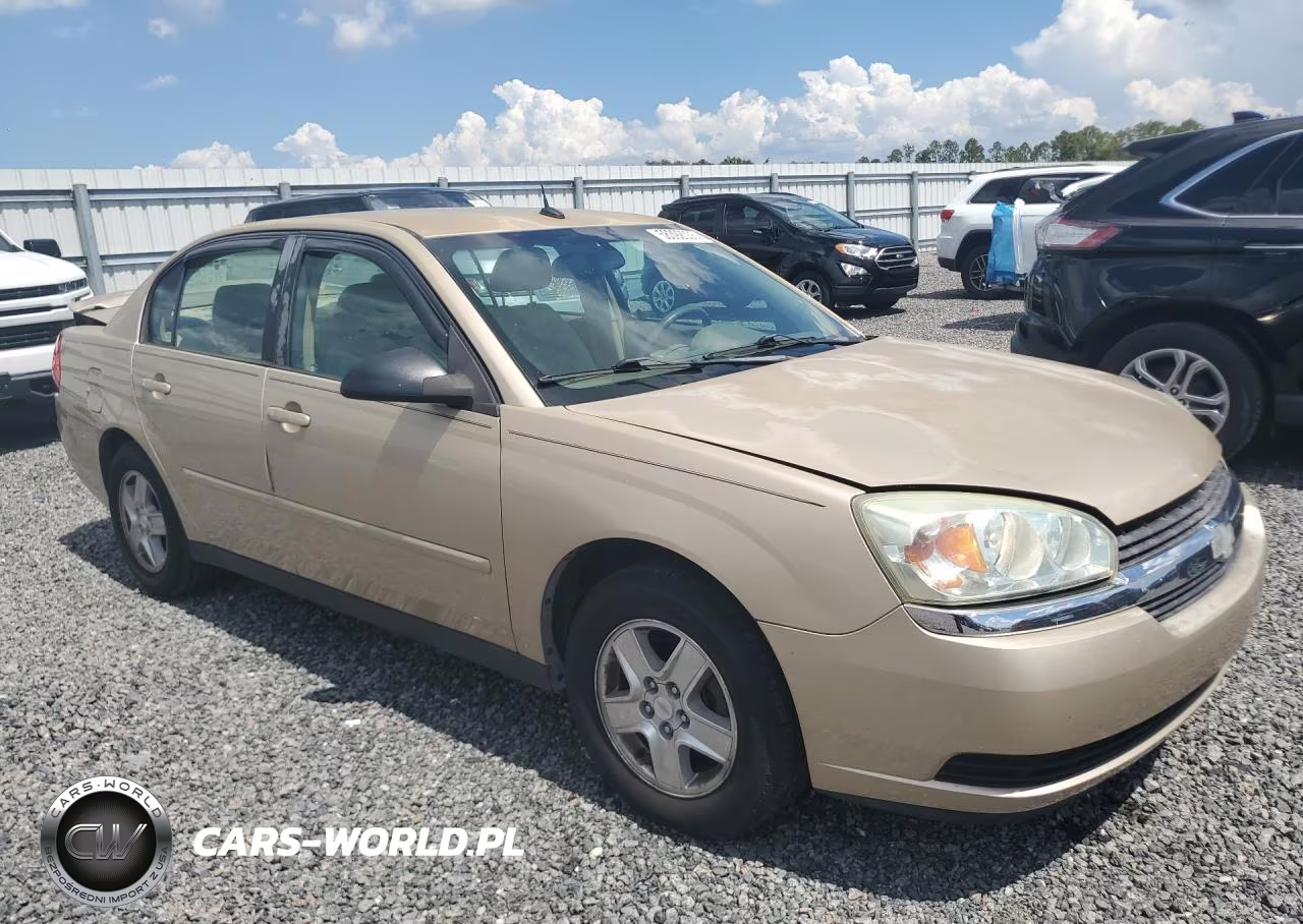 2004 Chevrolet Malibu Ls VIN:1G1ZT54874F110843 - 4