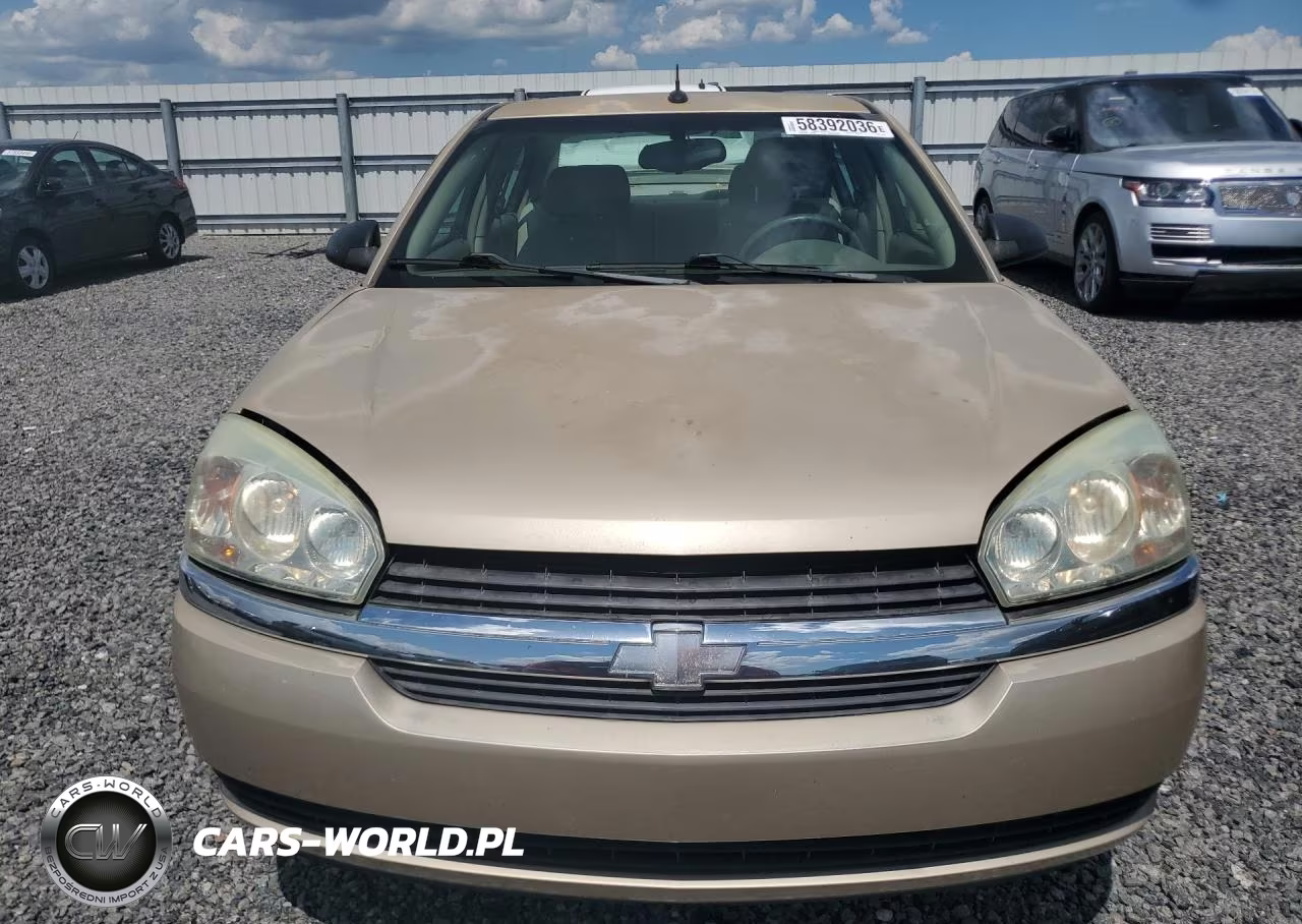 2004 Chevrolet Malibu Ls VIN:1G1ZT54874F110843 - 5