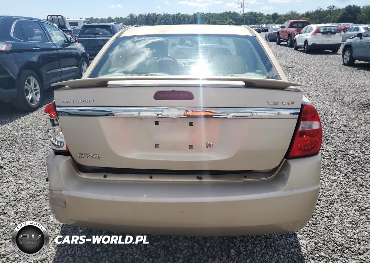 2004 Chevrolet Malibu Ls VIN:1G1ZT54874F110843 - 6