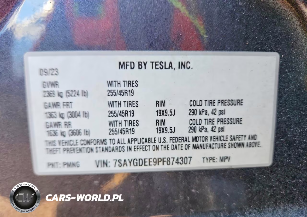2023 Tesla Model Y VIN:7SAYGDEE9PF874307 - 12