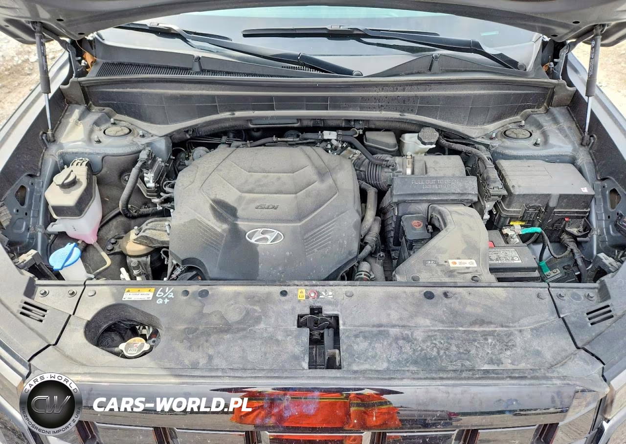 2023 Hyundai Palisade Sel Premium VIN:KM8R4DGE6PU639132 - 12