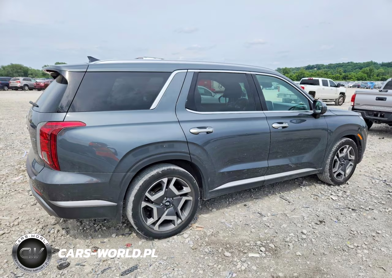 2023 Hyundai Palisade Sel Premium VIN:KM8R4DGE6PU639132 - 3
