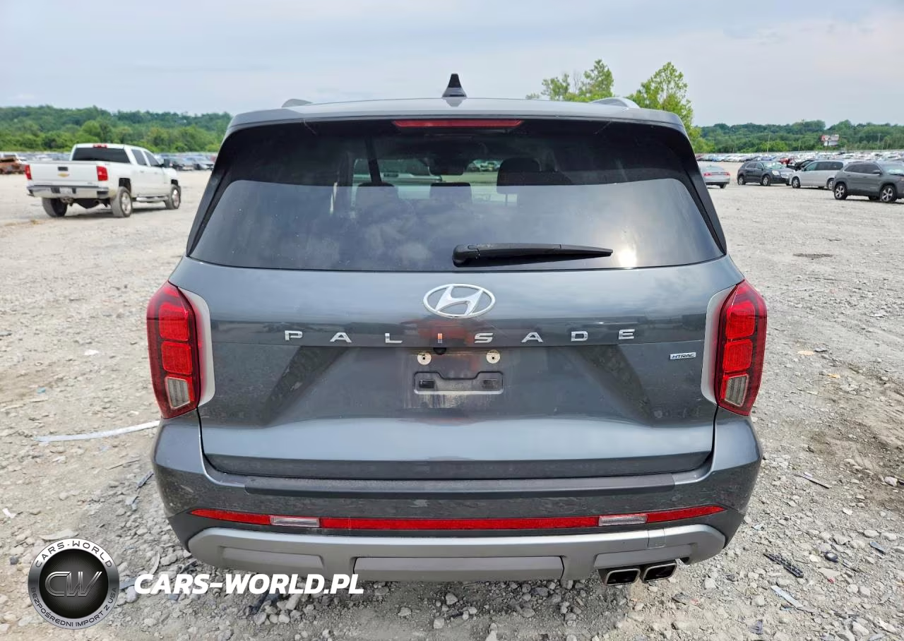 2023 Hyundai Palisade Sel Premium VIN:KM8R4DGE6PU639132 - 6