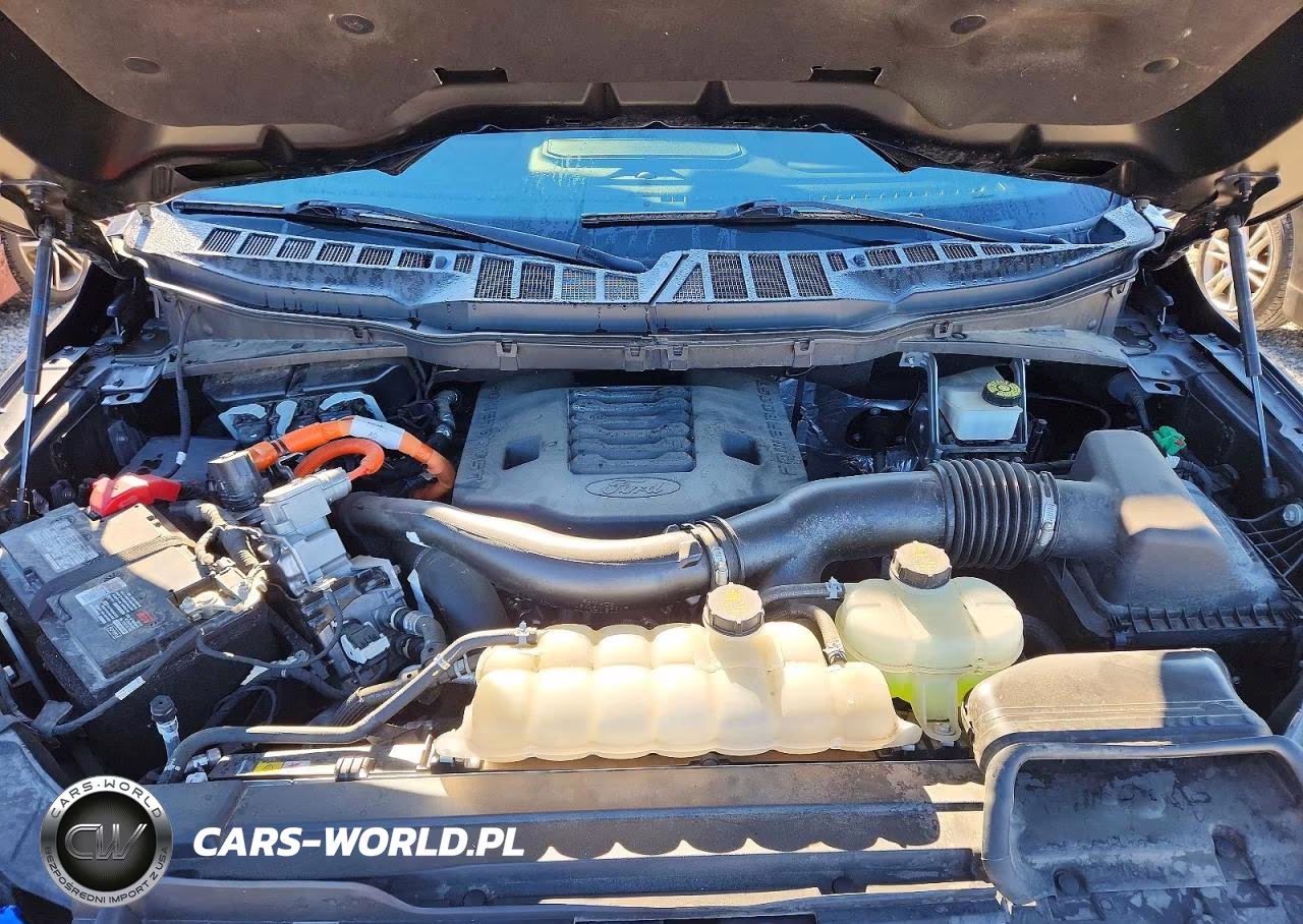 2021 Ford F150 Supercrew VIN:1FTFW1ED7MFB13425 - 11