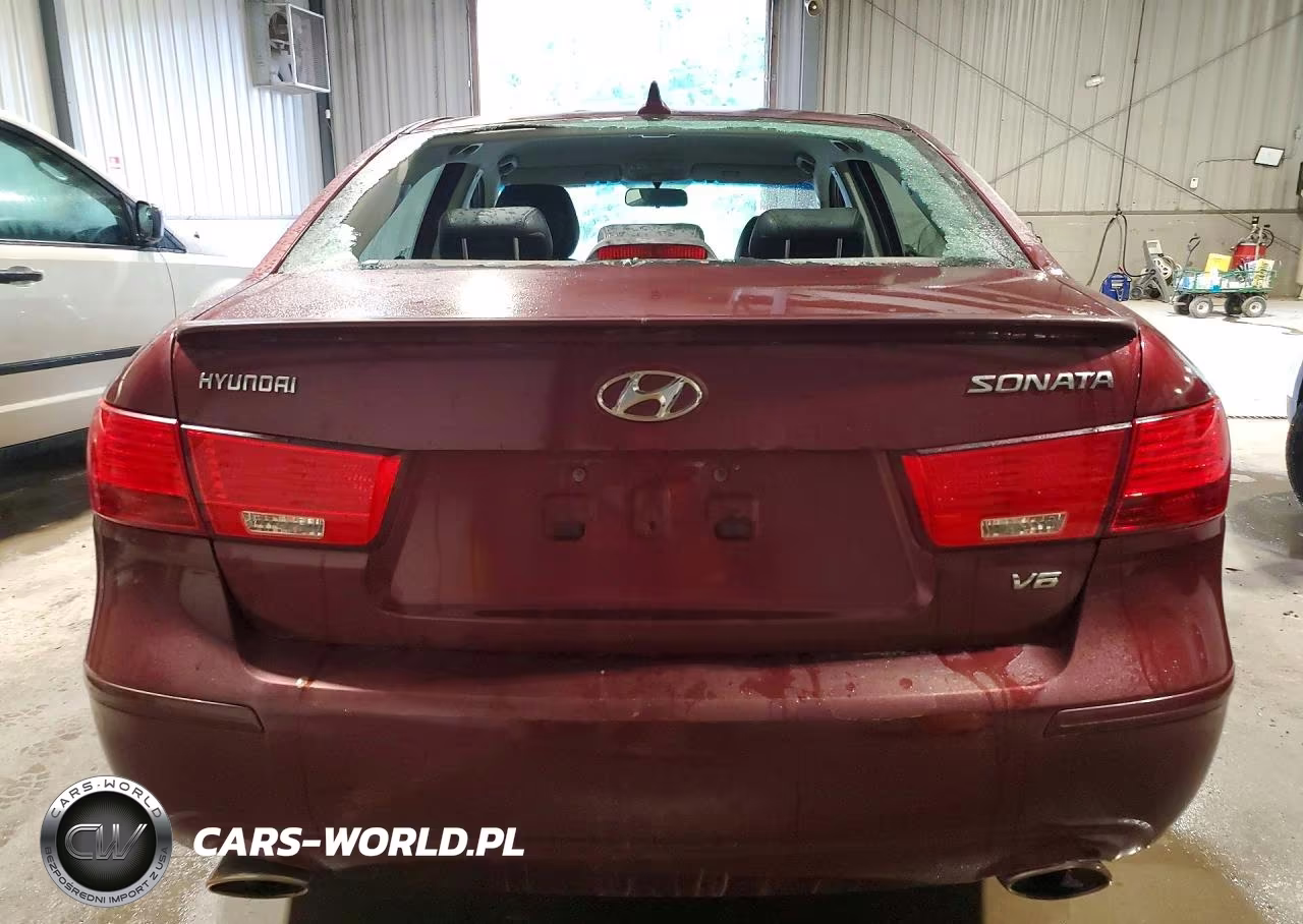 2010 Hyundai Sonata Se V6 VIN:5NPEU4AFXAH638703 - 6