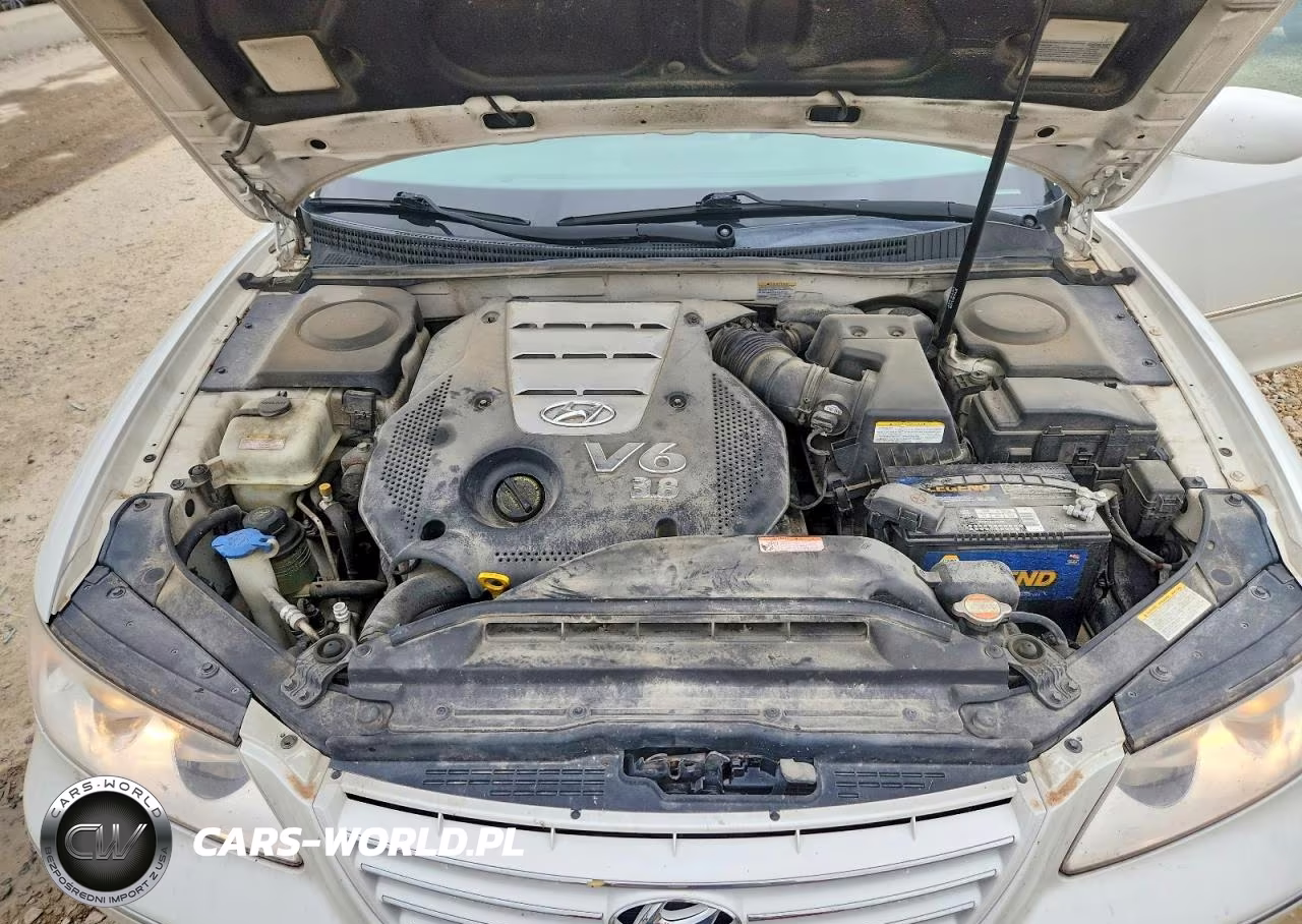 2007 Hyundai Azera Se VIN:KMHFC46F97A209693 - 11