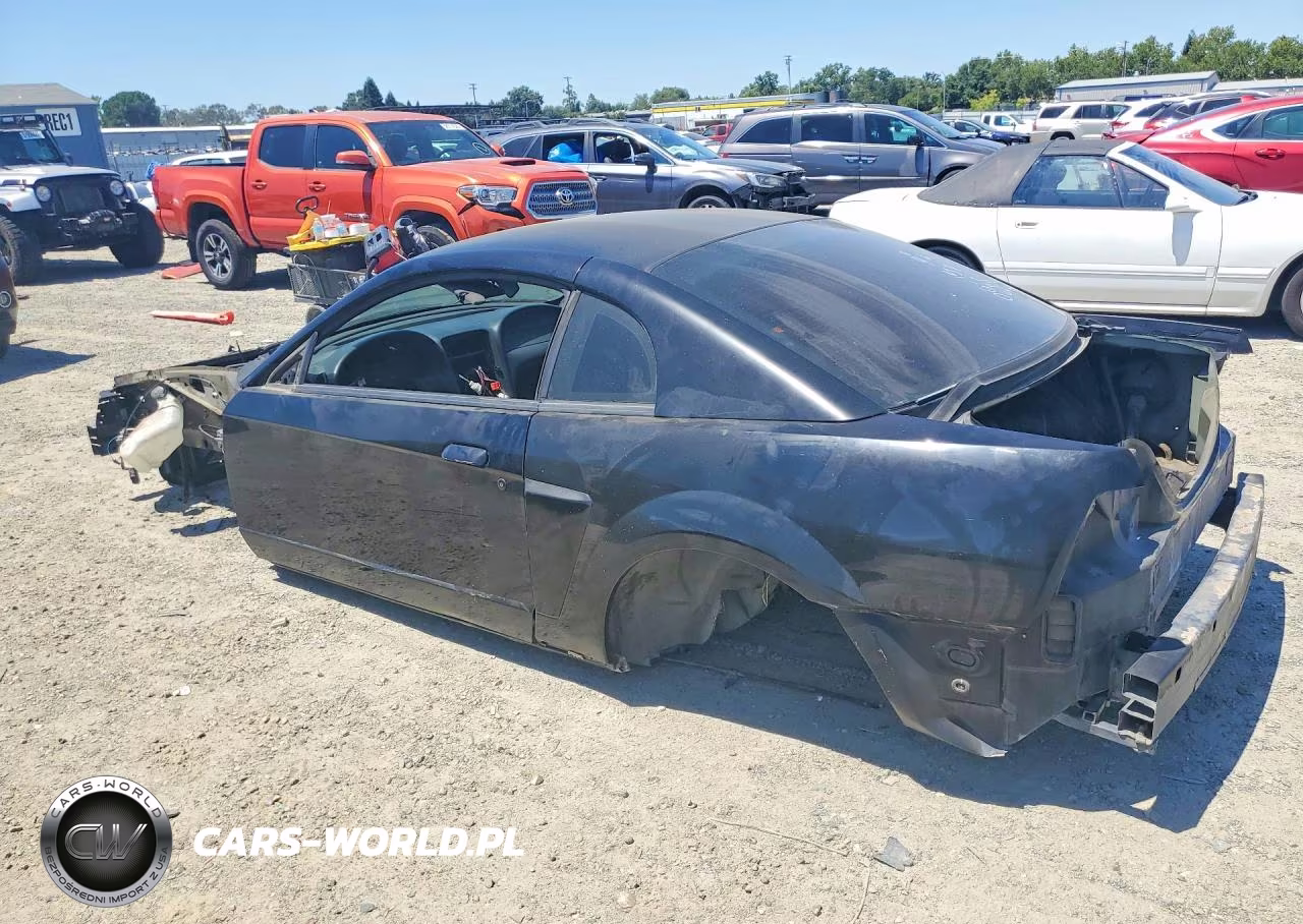 2003 Ford Mustang Cobra Svt VIN:1FAFP48Y43F440267 - 2