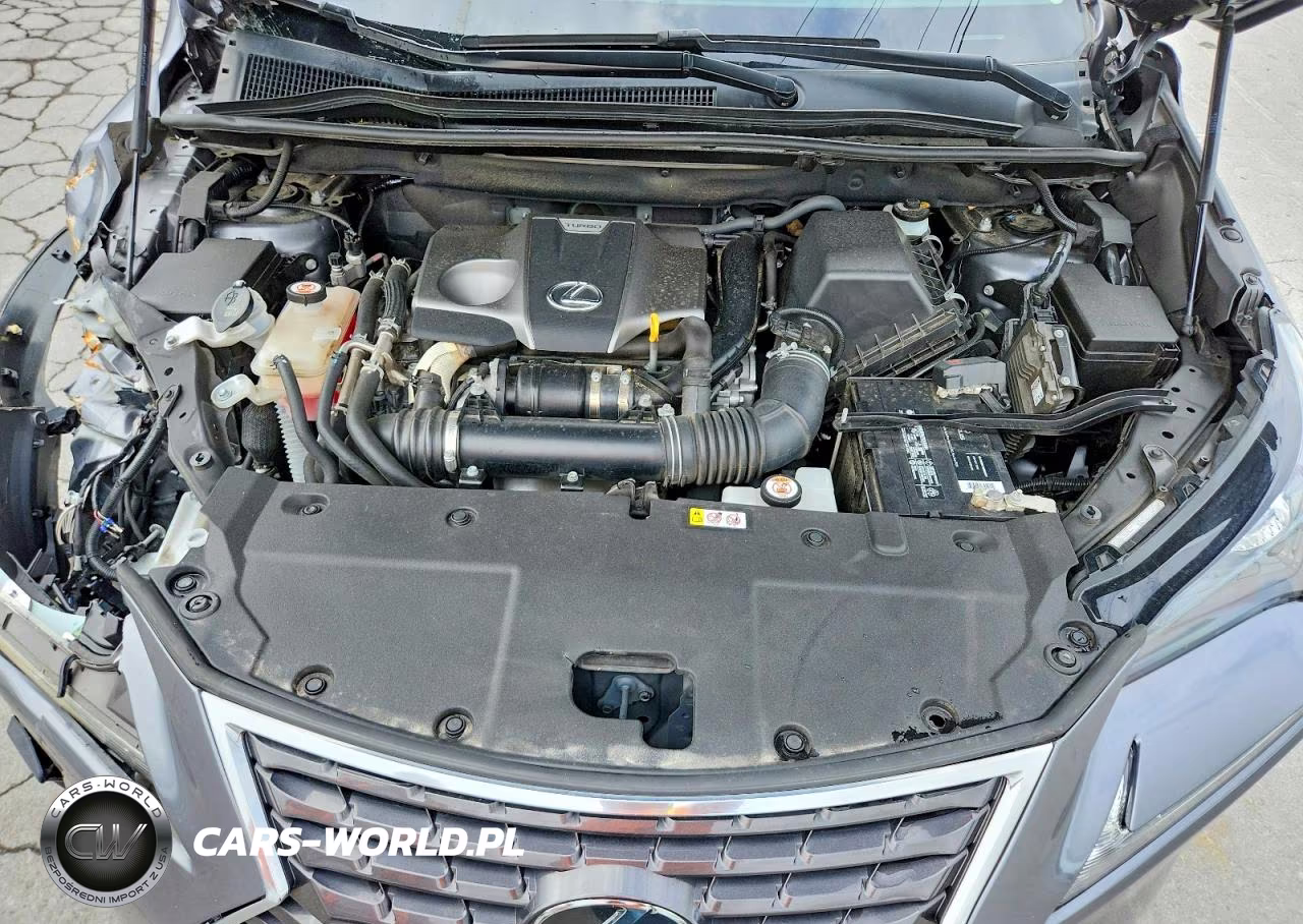 2021 Lexus Nx 300 Base VIN:JTJDARDZ1M2246784 - 12
