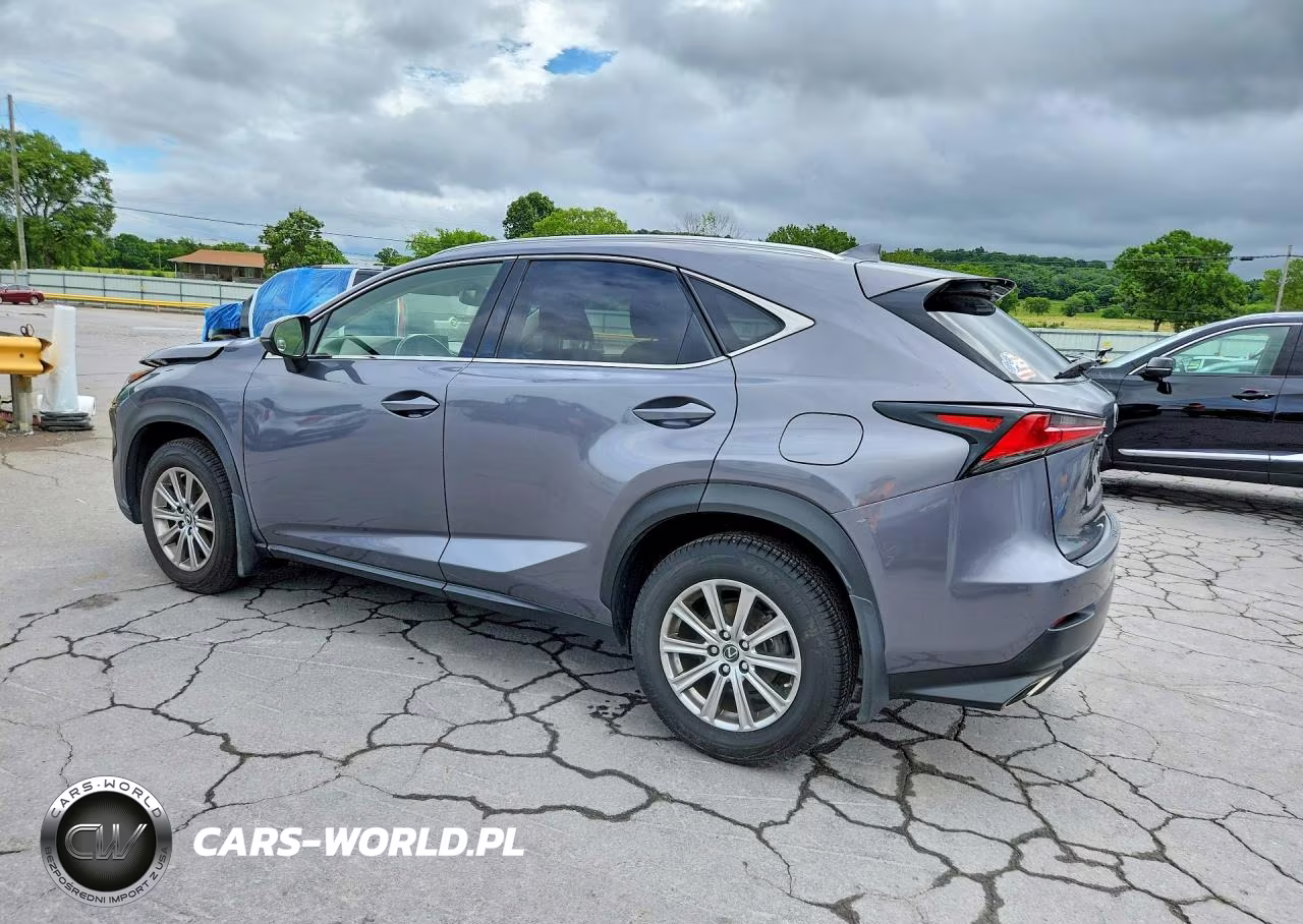 2021 Lexus Nx 300 Base VIN:JTJDARDZ1M2246784 - 2