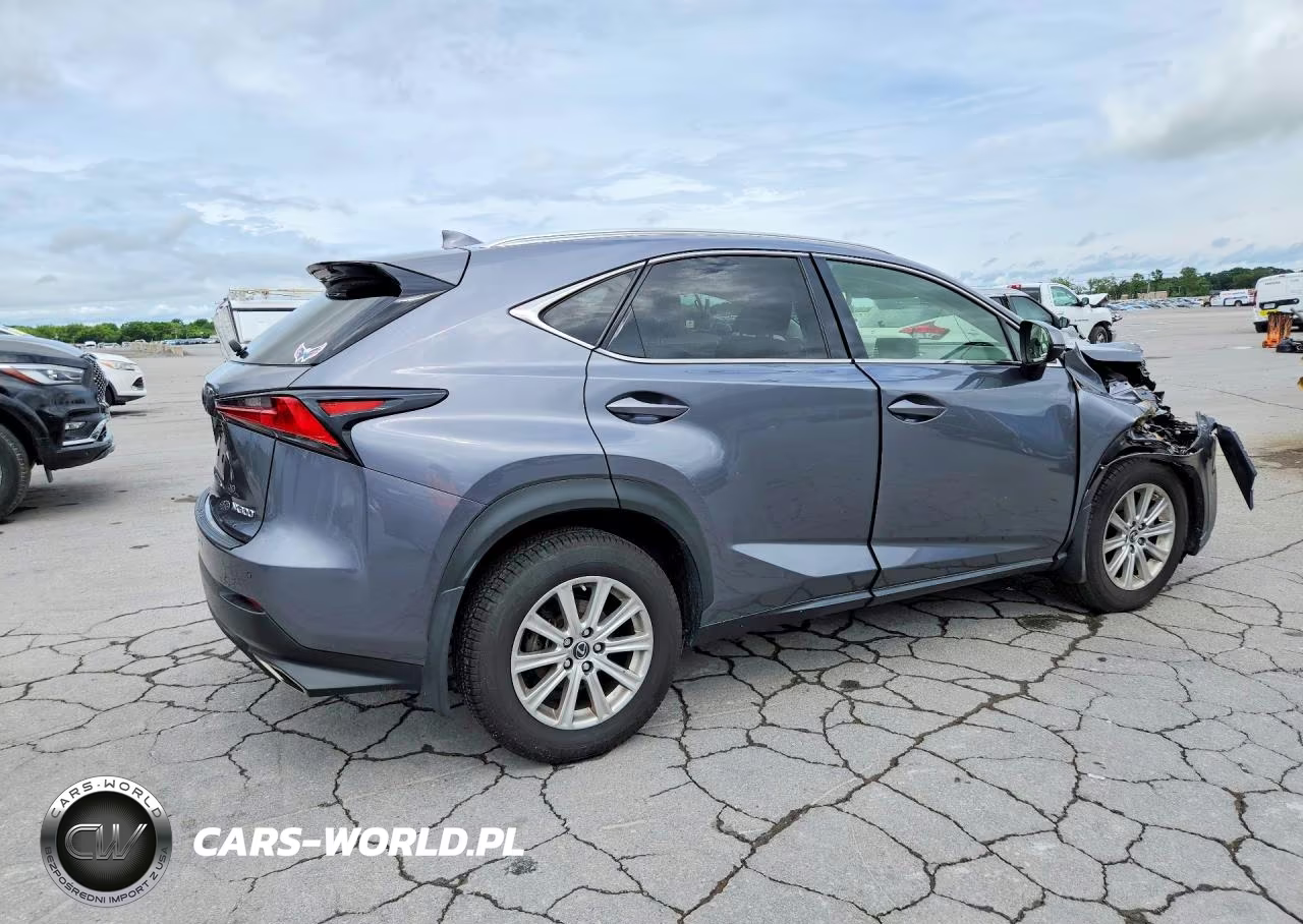 2021 Lexus Nx 300 Base VIN:JTJDARDZ1M2246784 - 3