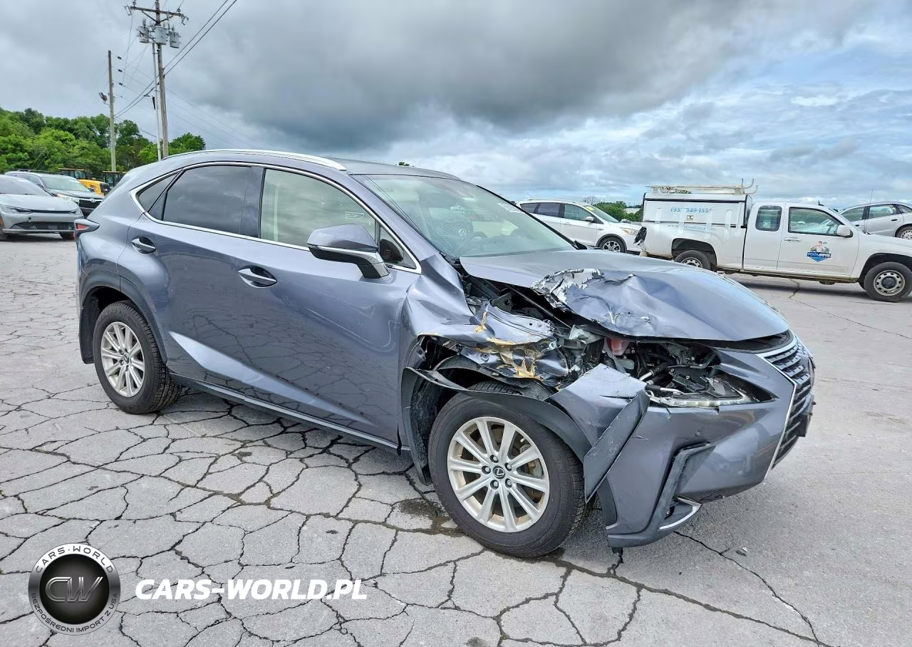 2021 Lexus Nx 300 Base VIN:JTJDARDZ1M2246784 - 4