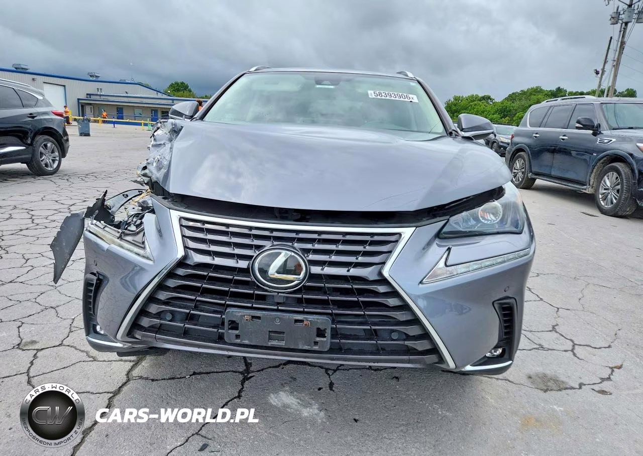 2021 Lexus Nx 300 Base VIN:JTJDARDZ1M2246784 - 5