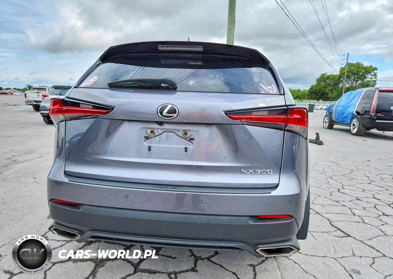 2021 Lexus Nx 300 Base VIN:JTJDARDZ1M2246784 - 6