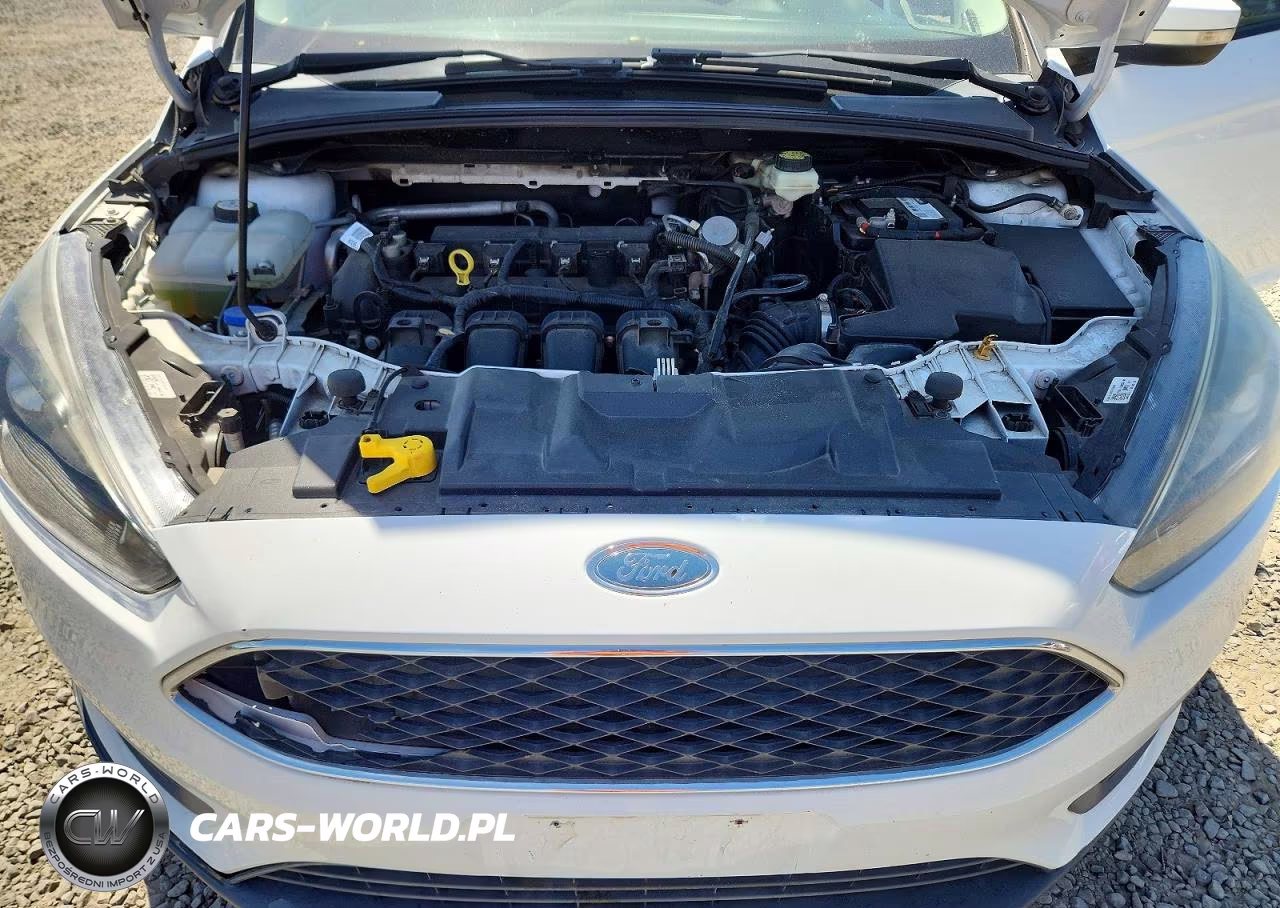 2017 Ford Focus Sel VIN:1FADP3M25HL264566 - 11