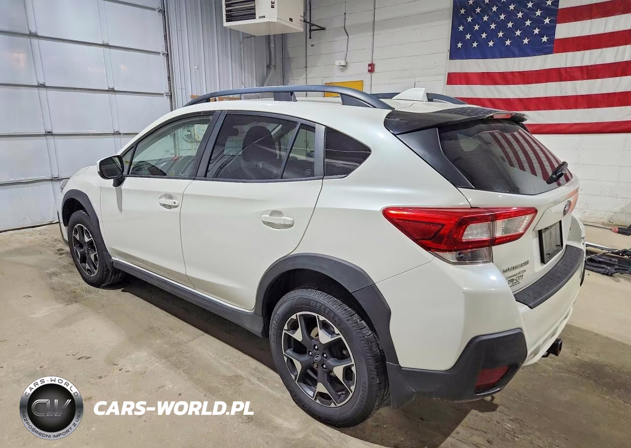 2019 Subaru Crosstrek Premium VIN:JF2GTACC1KH338319 - 2