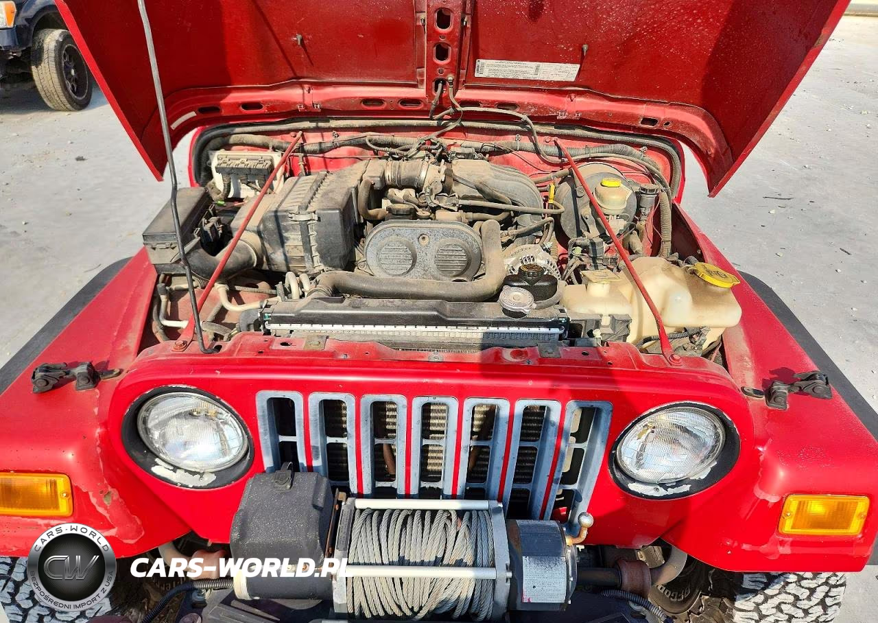 2003 Jeep Wrangler - Tj Se VIN:1J4FA29103P304952 - 11