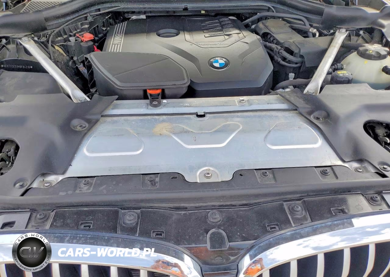 2021 BMW X3 Sdrive30I VIN:5UXTY3C01M9F84219 - 11